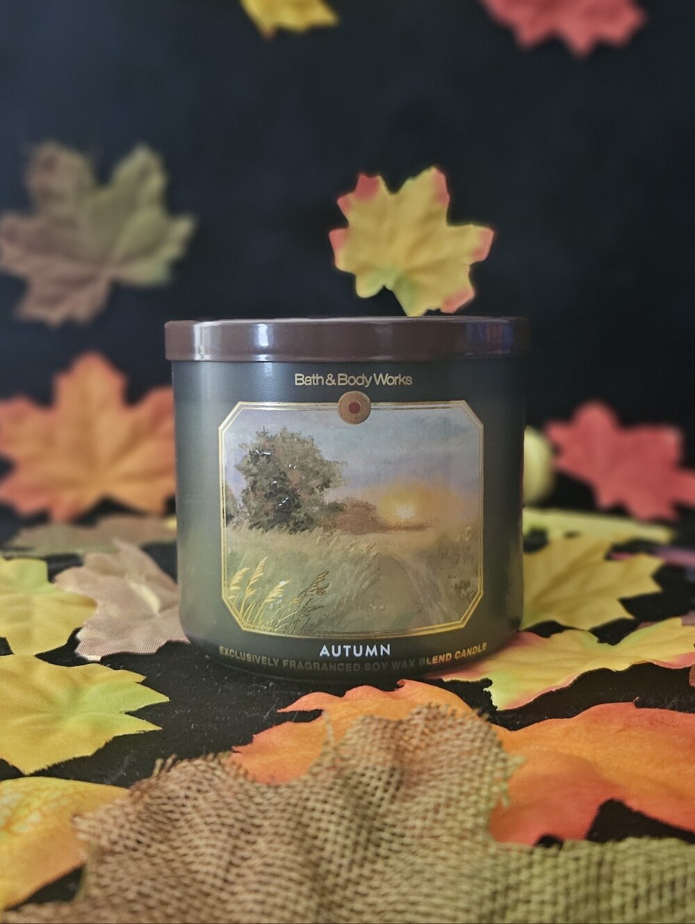 NWT Bath & Body Works Autumn 3-wick Candle - Green & Brown